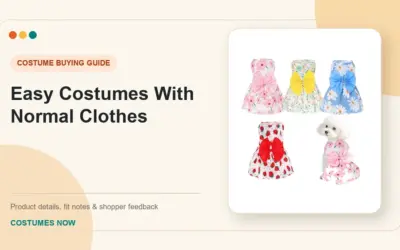 Easy Costumes With Normal Clothes 2026 Guide