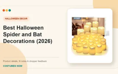 Best Halloween Spider Bat Decorations for Real-World Use