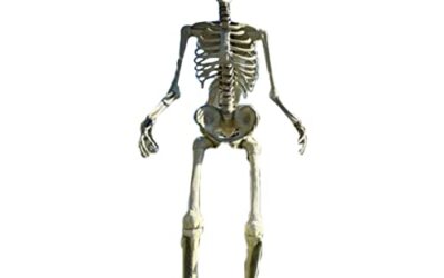 Best Large Halloween Yard Decorations (2026)