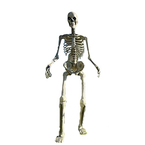Best Large Halloween Yard Decorations (2026) guide thumbnail featuring Home Accents 12 ft. Giant-Sized Skeleton with LifeEyes
