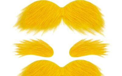 Costumes Cosplay 2026: Reviews and Buying Guide