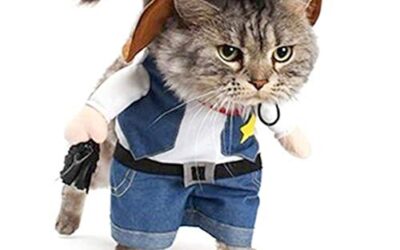 Costumes For Cats