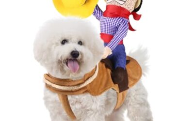 Costumes For Dogs
