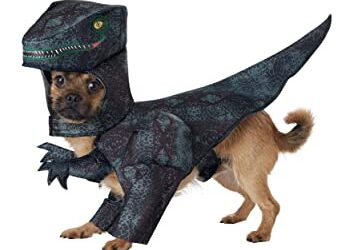 Dog Costumes