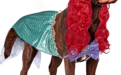 Xxxl Dog Costumes