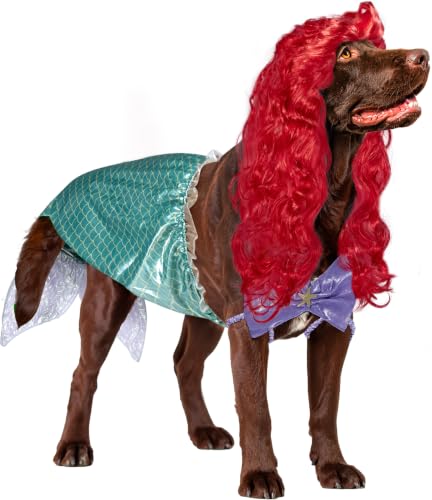 Xxxl Dog Costumes 2026: Reviews and Buying Guide